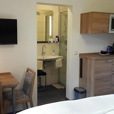 Landhaus Tripolt Radstadt Room photo